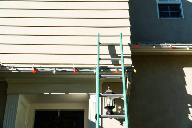 Best Stone Veneer Siding  in Pomona, NJ
