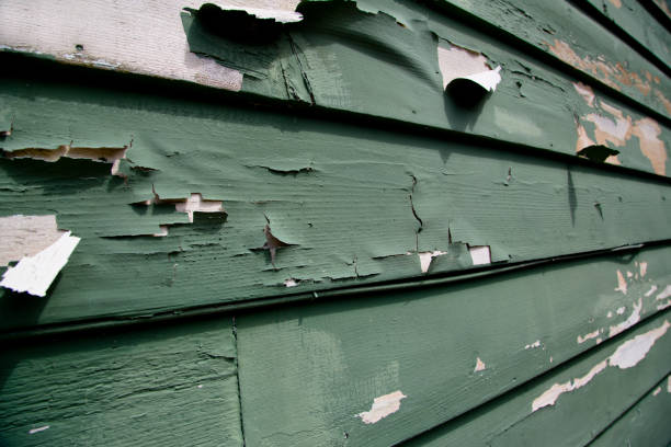 Best Custom Trim and Detailing for Siding  in Pomona, NJ