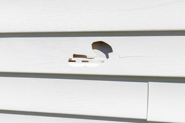 Best Siding for Commercial Buildings  in Pomona, NJ