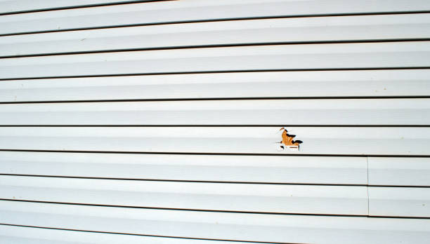 Best Custom Siding Design  in Pomona, NJ