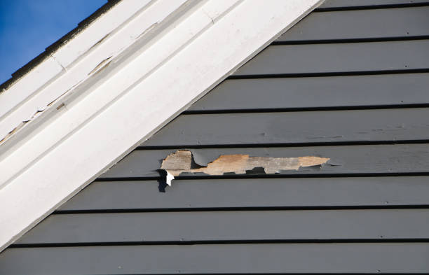 Best Storm Damage Siding Repair  in Pomona, NJ