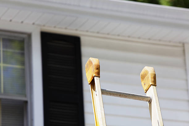 Best Insulated Siding Installation  in Pomona, NJ