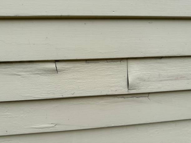 Best Historical Building Siding Restoration  in Pomona, NJ